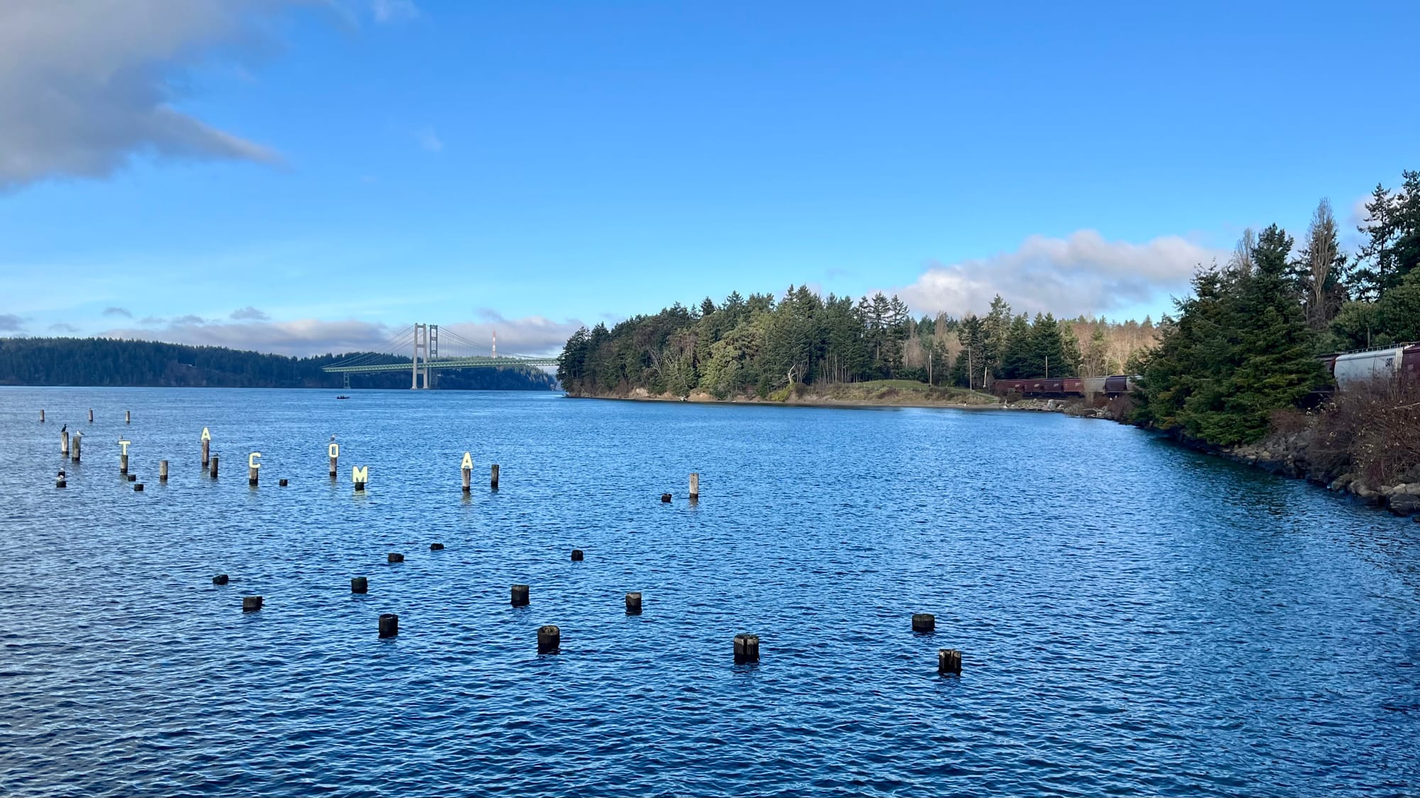 View from Titlow Park over toward the Narrows Bridge in Tacoma. A train is going by. It’s a beautiful blue day. The word ‘TACOMA’ is spelled out in a little art installation in the water.